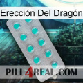 Erección Del Dragón 28